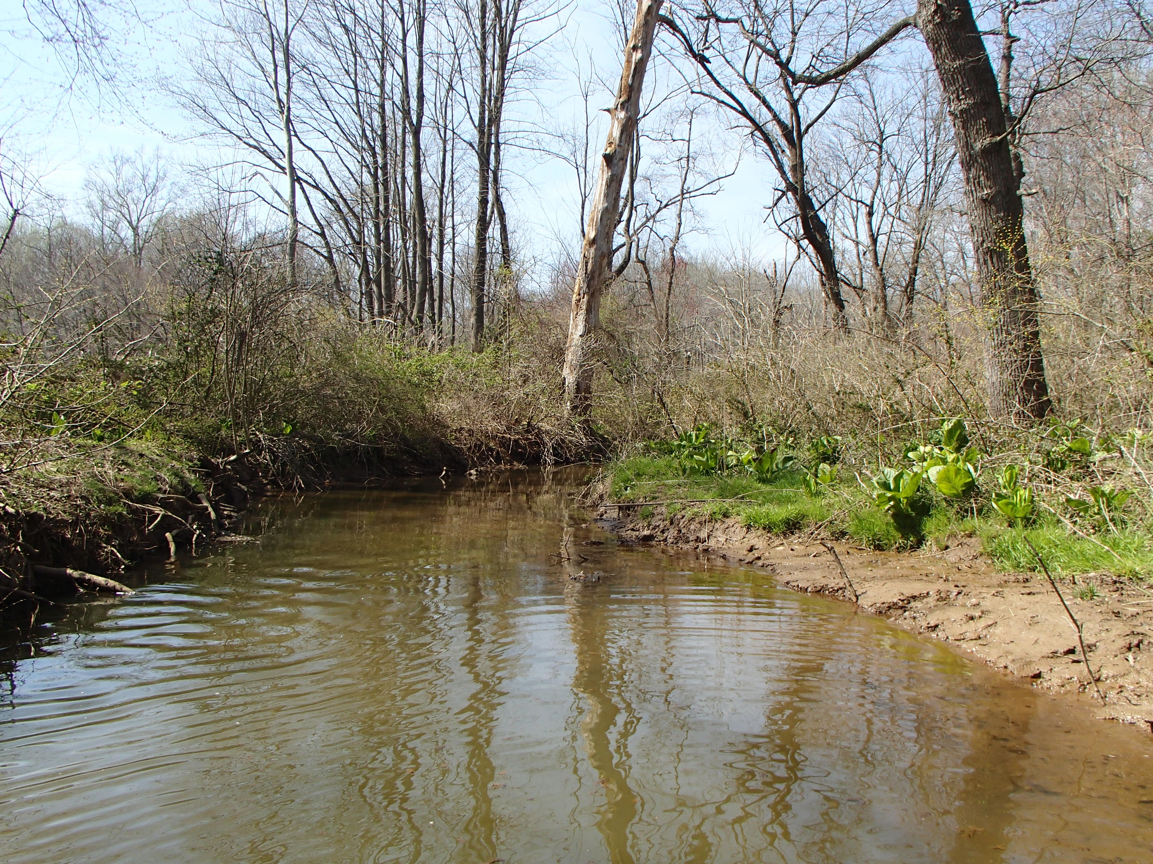 Field photo showing stream conditions at site MICR-202-R-2016_Midpoint looking upstream